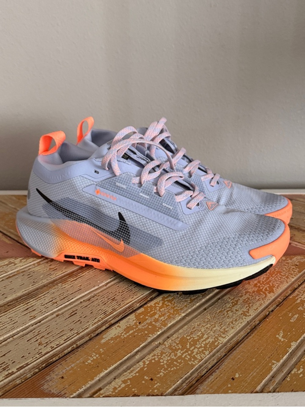 Nike Pegasus Trail 5 GTX Running Shoes